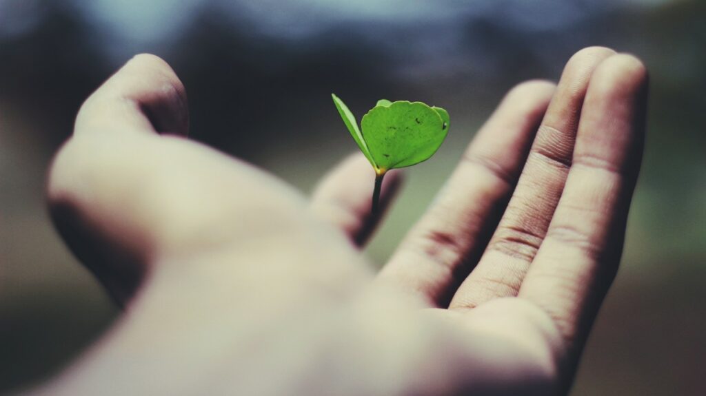 Third Culture Africa How To Recognise Personal Development And Growth a hand in a black background holding a green growing plant