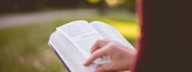 Expressive Storytelling: using stories to connect with your audience