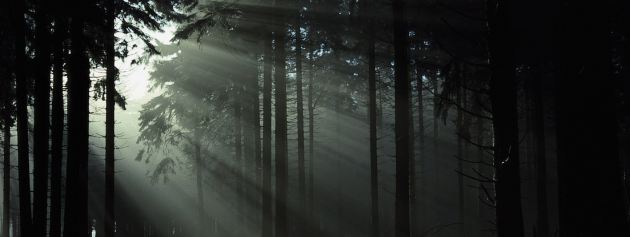 Decoding the Structure of Mystery Narratives: An Analytical Approach