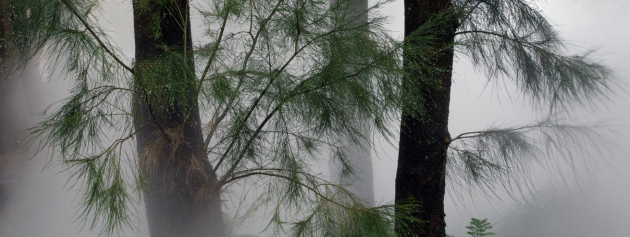 Eerie Tales Around the World: Cultural Variations of Spooky Narratives