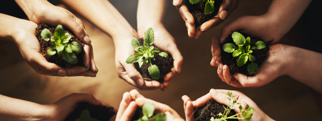 Innovative creations: budding plants in soil being carried in people's hands