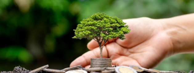 innovative creations: a small tree in someone's hand
