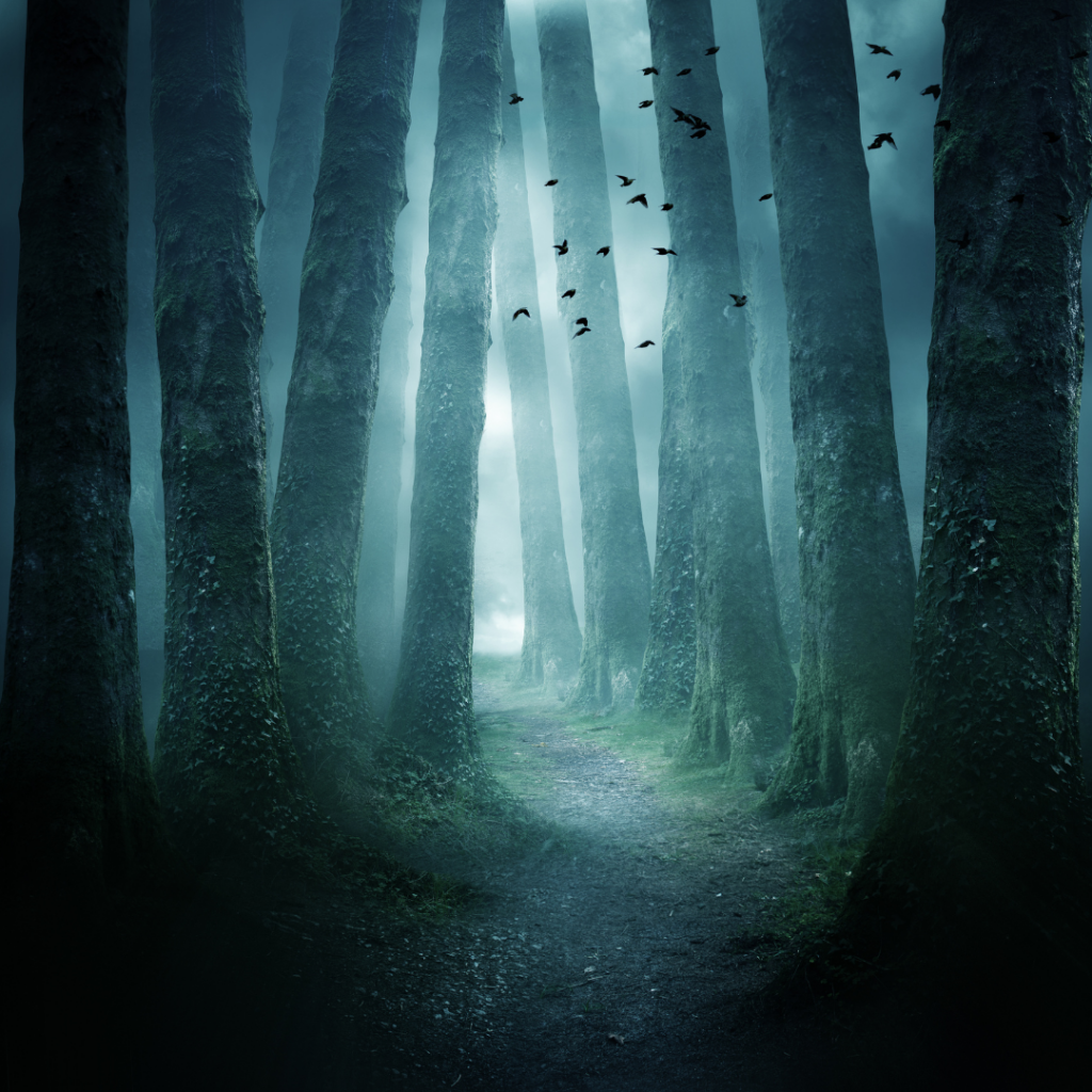 Eerie tales: A lonely, eerie path in the woods.