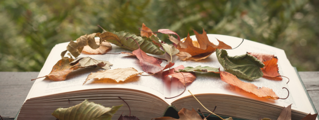 The Power of Worldly Stories: Connecting Cultures Through Narrative