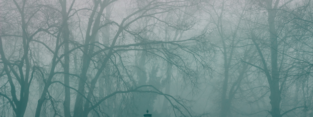 Understanding Supernatural Experiences: A Scientific Perspective