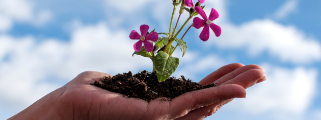 personal development strategies